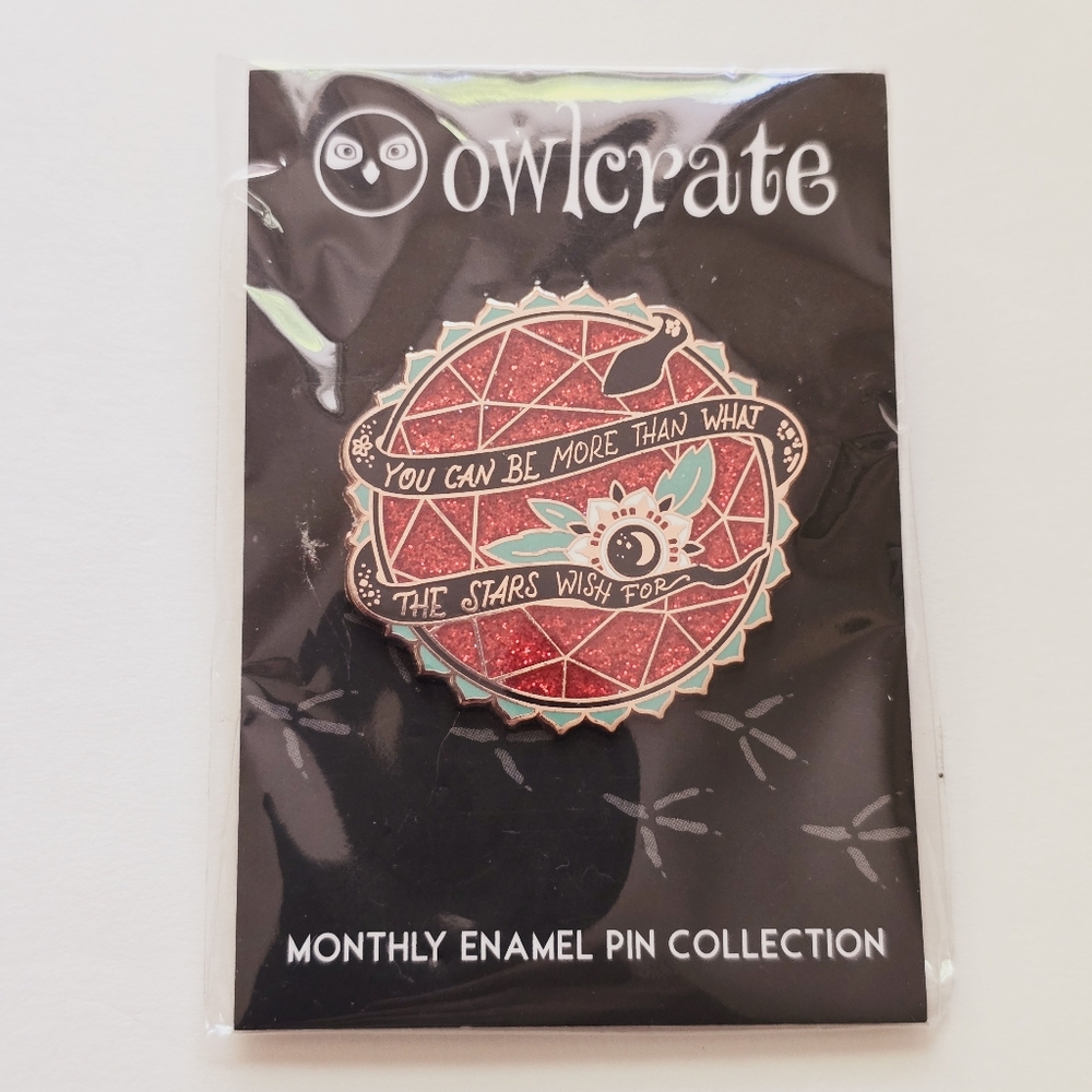 NWT Owlcrate Go Your Own Way Pin